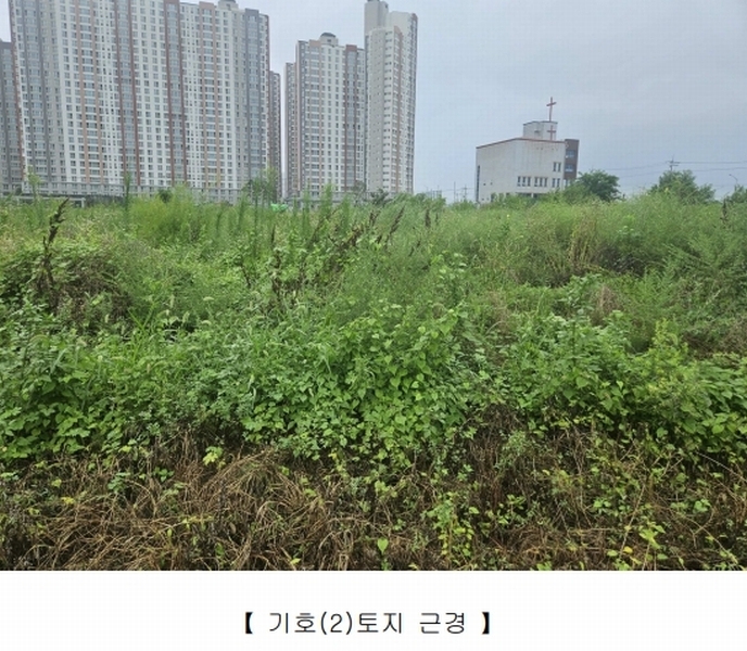 2025타경9393 경상북도 영천시 완산동 709-105 과수원 경매 이미지