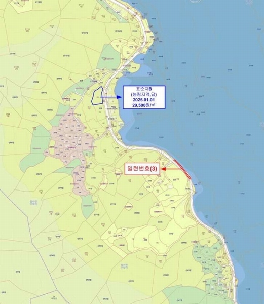 2025타경33881 전라남도 장성군 삼서면 수양리 산63-3 도로 경매 이미지