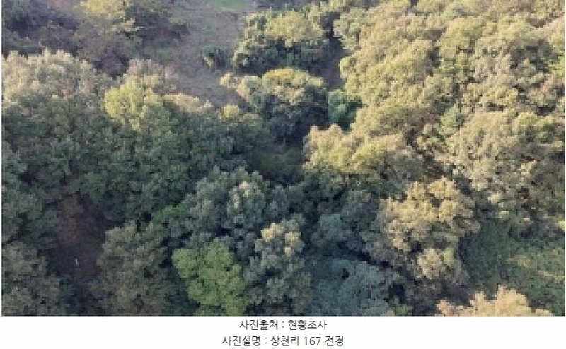 2025타경10337 경상남도 합천군 대병면 상천리 167 농지 경매 이미지