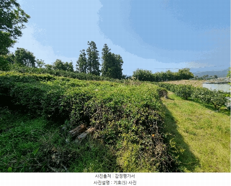 2025타경1202 제주특별자치도 서귀포시 하원동 728 임야 경매 이미지