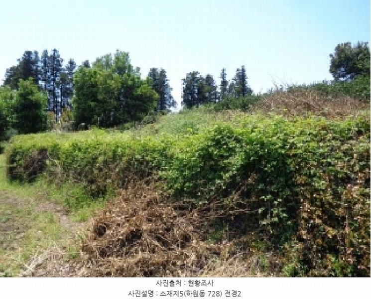 2025타경1202 제주특별자치도 서귀포시 하원동 728 임야 경매 이미지