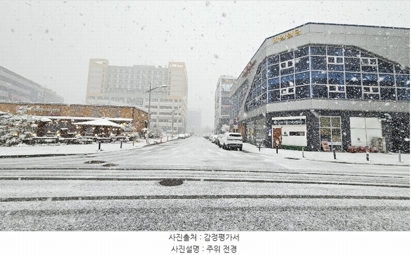 2024타경3356 충청북도 음성군 맹동면 대하2길 41, 광일빌딩 1층 113호 근린상가 경매 이미지
