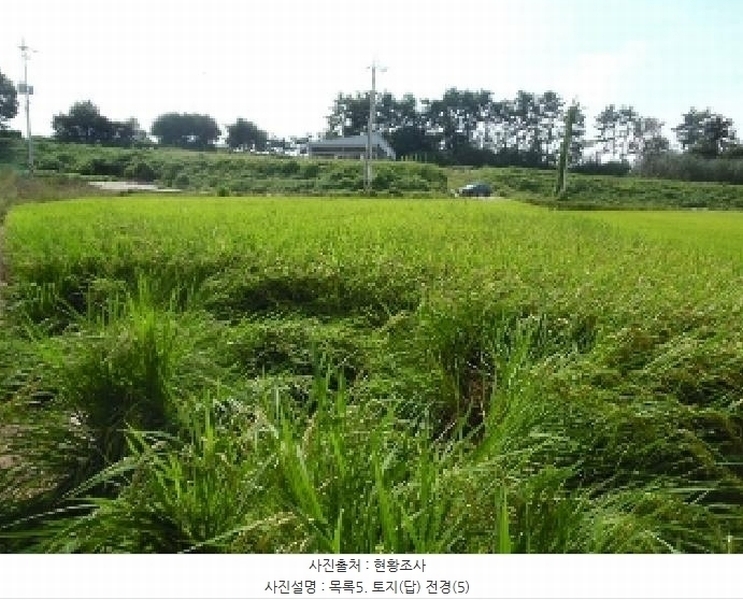 2025타경31672 전북특별자치도 김제시 공덕면 황산리 1412 농지 경매 이미지