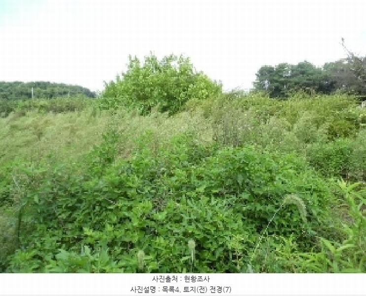 2025타경31672 전북특별자치도 김제시 공덕면 황산리 927-12 농지 경매 이미지