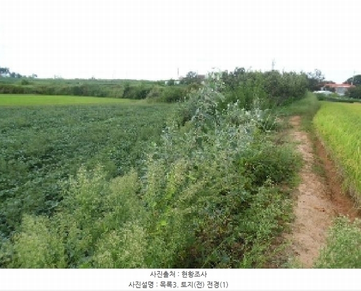 2025타경31672 전북특별자치도 김제시 공덕면 황산리 462 농지 경매 이미지