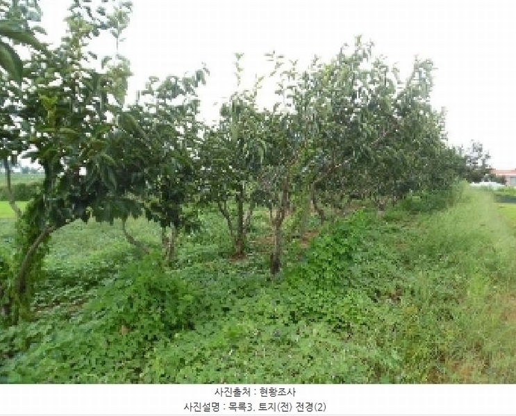 2025타경31672 전북특별자치도 김제시 공덕면 황산리 462 농지 경매 이미지