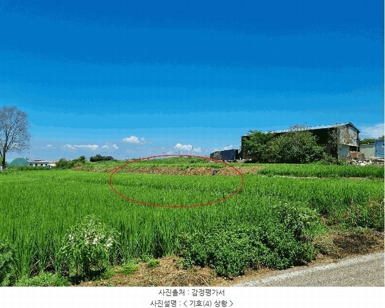2025타경42353 경기도 평택시 현덕면 인광리 279 농지 경매 이미지