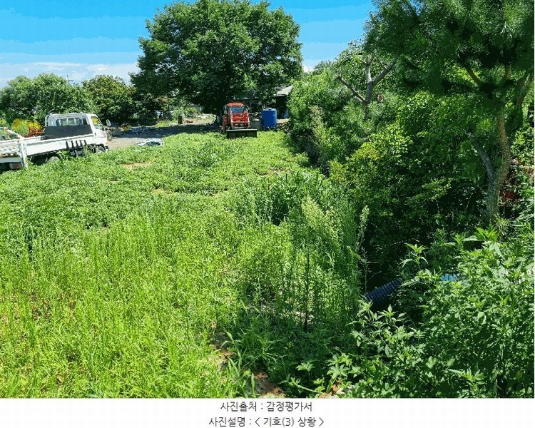 2025타경42353 경기도 평택시 현덕면 도대리 172-6 농지 경매 이미지