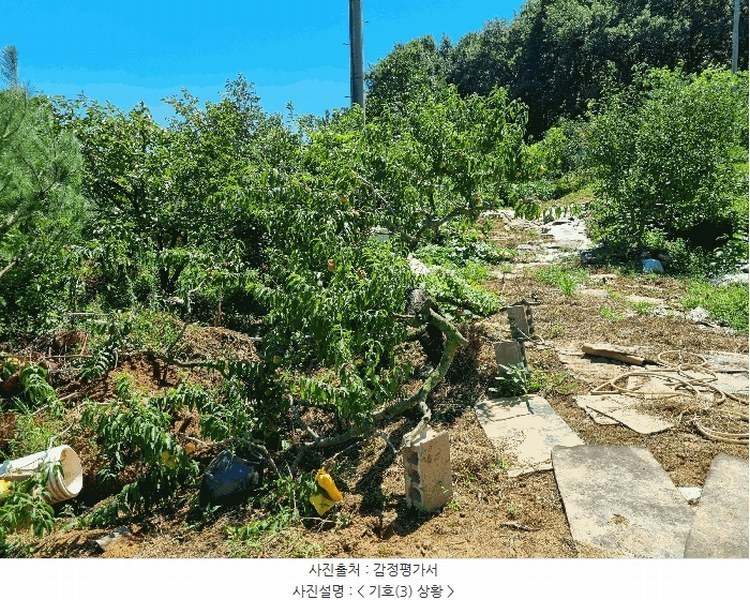 2025타경42353 경기도 평택시 현덕면 도대리 172-6 농지 경매 이미지