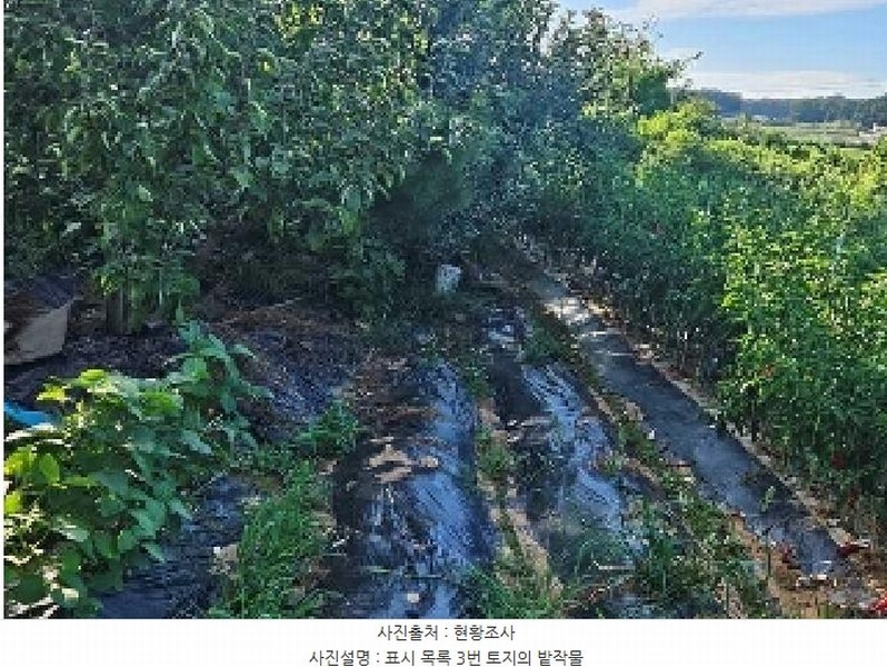 2025타경42353 경기도 평택시 현덕면 도대리 172-6 농지 경매 이미지