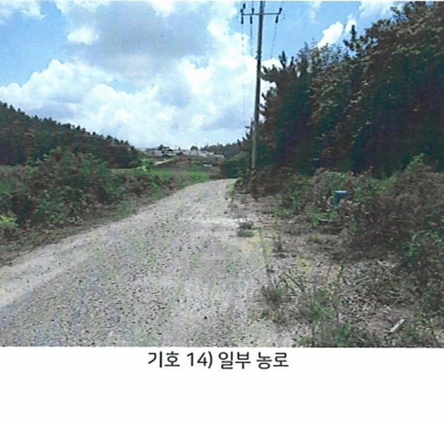2025타경51366 전라남도 신안군 압해읍 가룡리 산143-1 임야 경매 이미지