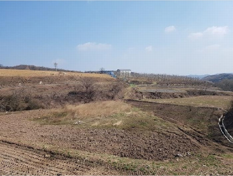 2025타경186 경상북도 청송군 진보면 고현리 370 농지 경매 이미지