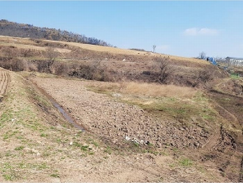 2025타경186 경상북도 청송군 진보면 고현리 370 농지 경매 이미지