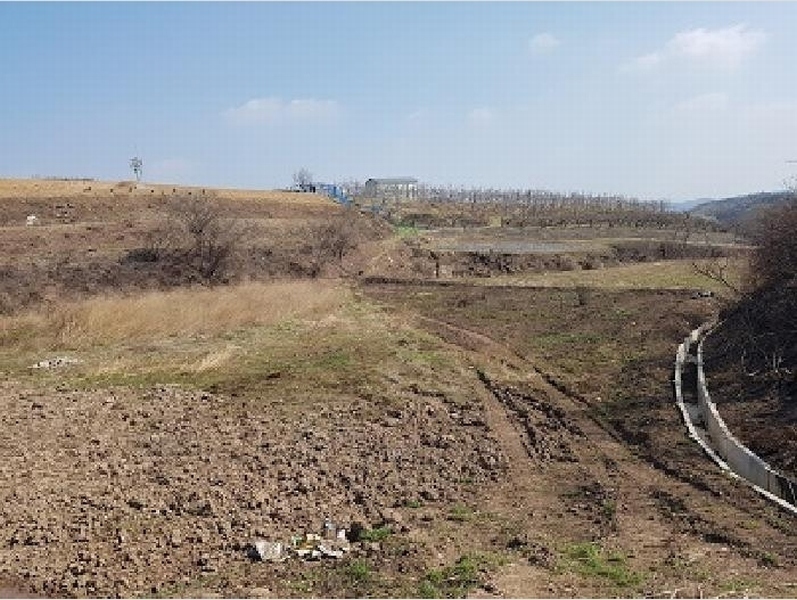 2025타경186 경상북도 청송군 진보면 고현리 370 농지 경매 이미지