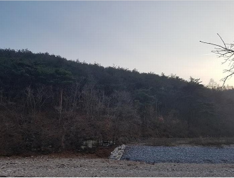 2025타경10060 경상북도 청송군 파천면 옹점리 산76-1 임야 경매 이미지