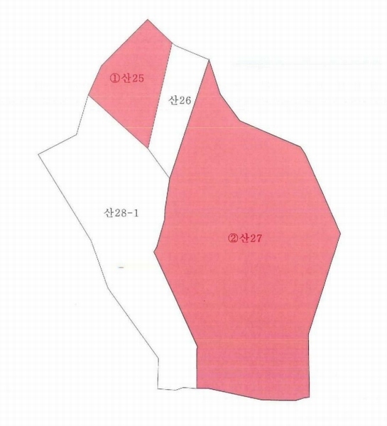 2025타경10060 경상북도 청송군 안덕면 지소리 산27 임야 경매 이미지