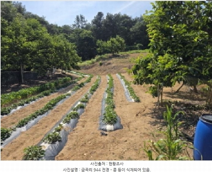 2025타경7776 경상북도 청도군 매전면 금곡리 944 농지 경매 이미지