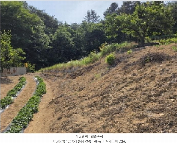 2025타경7776 경상북도 청도군 매전면 금곡리 944 농지 경매 이미지