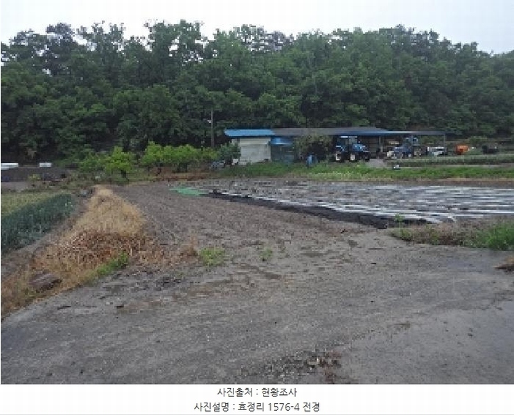 2025타경10327 경상남도 창녕군 대지면 효정리 1576-4 농지 경매 이미지