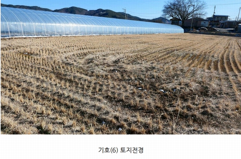 2025타경418 경상남도 산청군 단성면 자양리 249-1 농지 경매 이미지