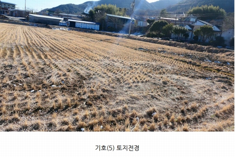 2025타경418 경상남도 산청군 단성면 자양리 249-1 농지 경매 이미지