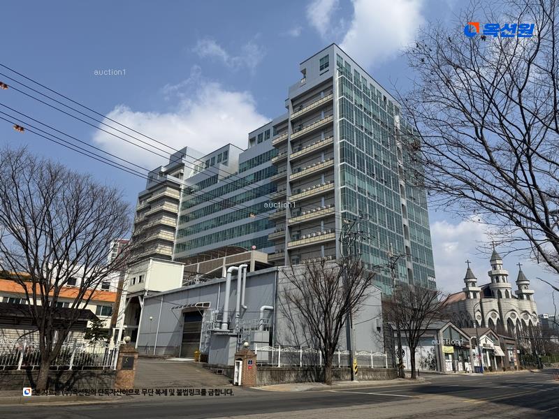 경매 이미지