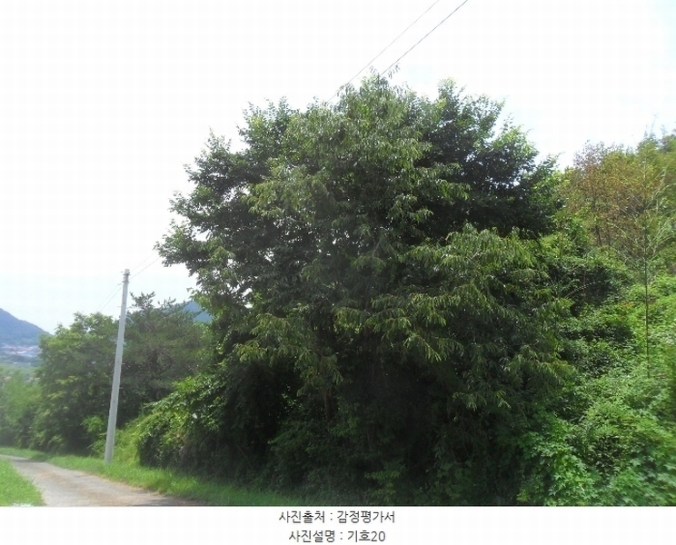 2023타경107275 경상남도 함안군 산인면 모곡리 861 농지 경매 이미지