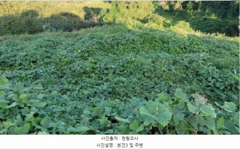 2025타경20896 경상남도 함안군 칠북면 이령리 860-3 과수원 경매 이미지