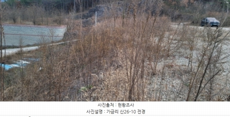 2024타경9556 경상북도 청도군 이서면 가금리 산26-10 임야 경매 이미지