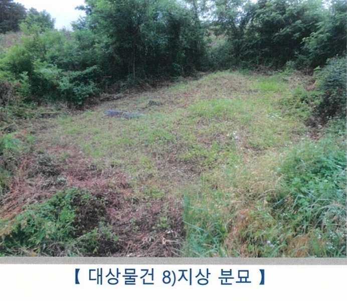2024타경9556 경상북도 청도군 이서면 가금리 산26-10 임야 경매 이미지