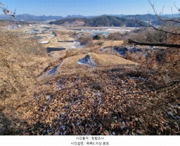 2026타경600042 충청남도 금산군 금산읍 신대리 148-2 농지 경매 이미지