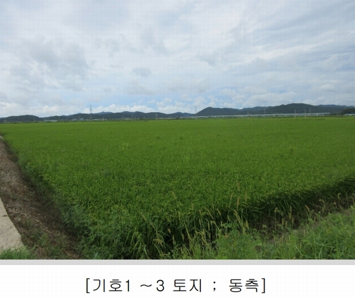 2025타경5368 전라남도 나주시 동강면 장동리 1446-1 농지 경매 이미지