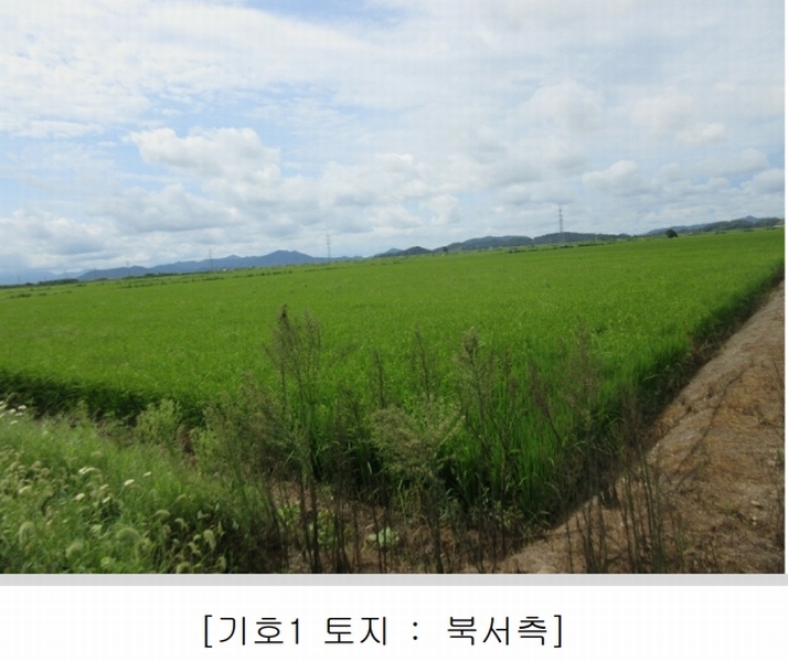 2025타경5368 전라남도 나주시 동강면 장동리 1446-1 농지 경매 이미지