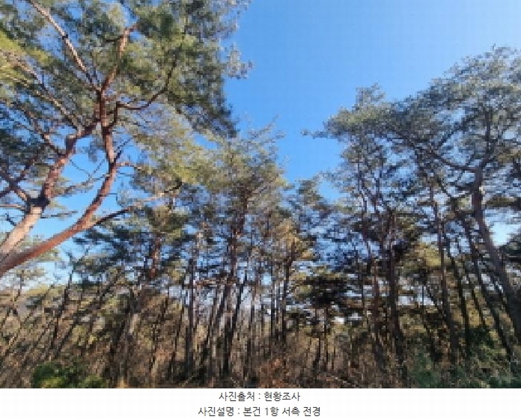 2026타경10 전라남도 순천시 주암면 궁각리 산88-1 임야 경매 이미지