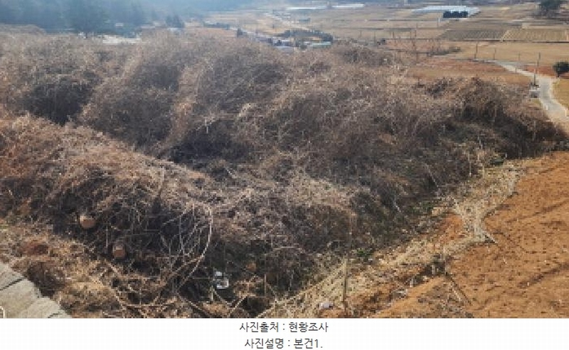 2026타경17 전라남도 고흥군 도화면 봉룡리 650 농지 경매 이미지