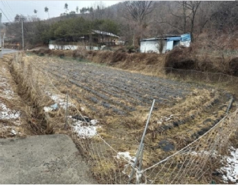 2026타경52 충청북도 청주시 상당구 낭성면 인경리 104-1 농지 경매 이미지