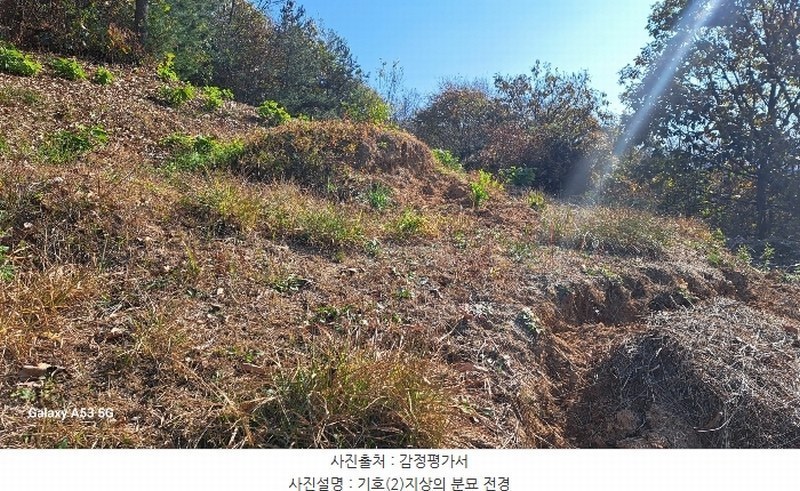 2024타경88163 경기도 연천군 신서면 답곡리 산123 임야 경매 이미지