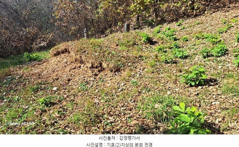 2024타경88163 경기도 연천군 신서면 답곡리 산123 임야 경매 이미지