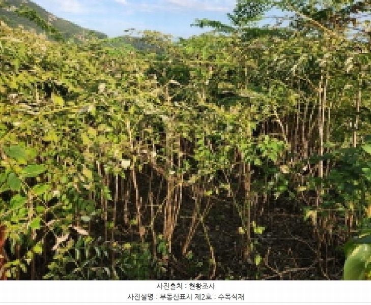 2025타경336 전북특별자치도 부안군 변산면 도청리 96-1 농지 경매 이미지