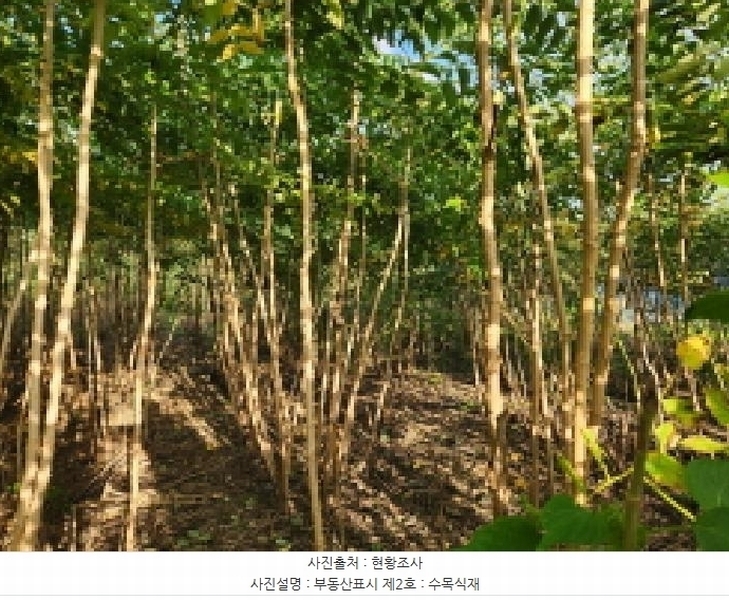 2025타경336 전북특별자치도 부안군 변산면 도청리 96-1 농지 경매 이미지
