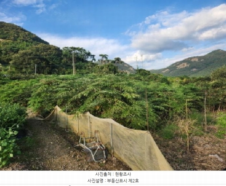 2025타경336 전북특별자치도 부안군 변산면 도청리 96-1 농지 경매 이미지