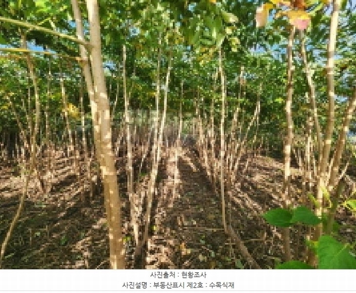 2025타경336 전북특별자치도 부안군 변산면 도청리 96-1 농지 경매 이미지