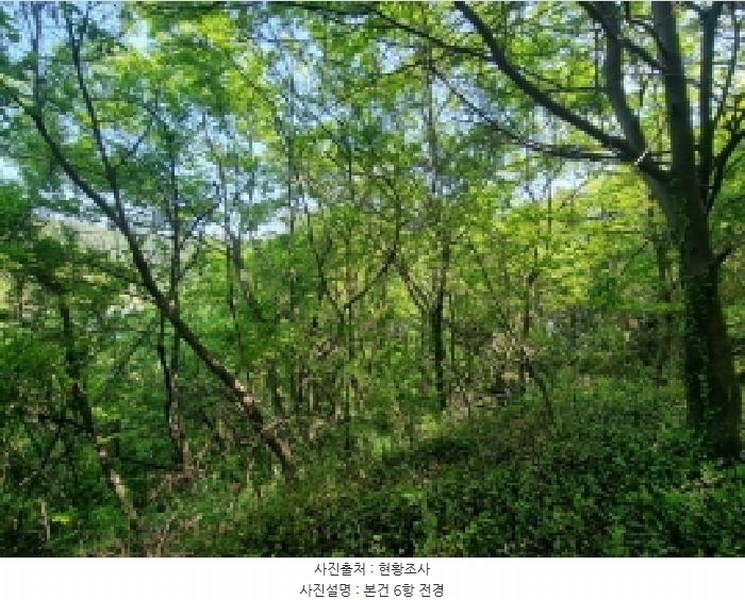 2025타경421 전라남도 광양시 진월면 신아리 22 농지 경매 이미지