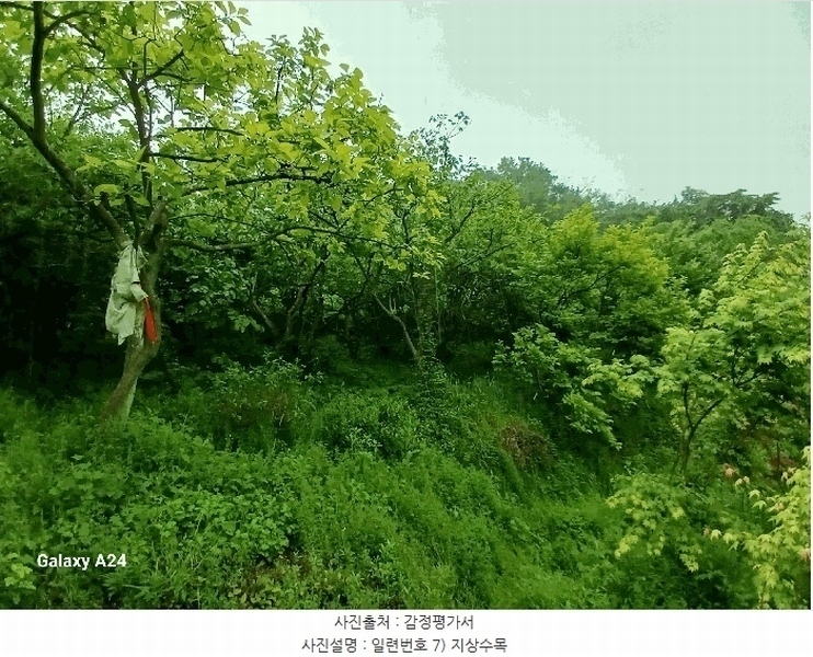 2025타경421 전라남도 광양시 진월면 신아리 22 농지 경매 이미지