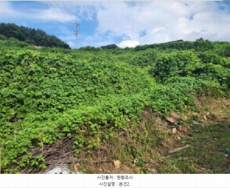 2025타경51694 전라남도 여수시 묘도동 산17-1 임야 경매 이미지