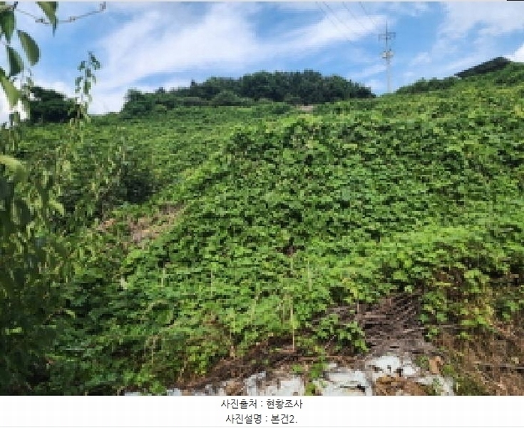 2025타경51694 전라남도 여수시 묘도동 산17-1 임야 경매 이미지