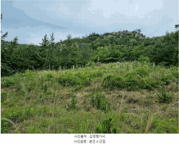 2025타경376 전라남도 신안군 비금면 죽림리 산85 임야 경매 이미지