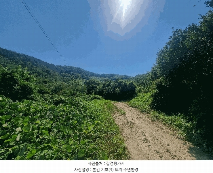 2025타경11702 경상남도 김해시 진영읍 진영리 산58 임야 경매 이미지