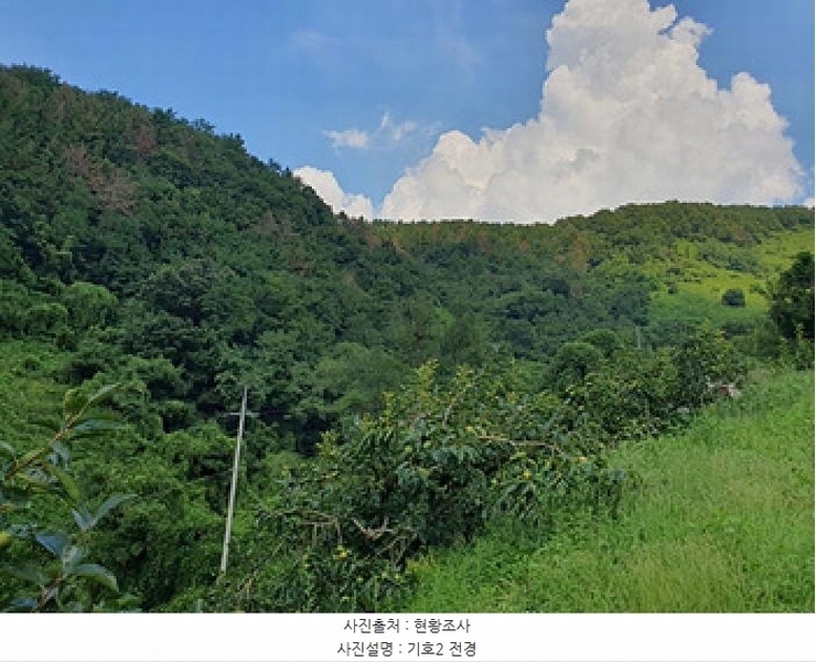 2025타경11702 경상남도 김해시 진영읍 진영리 산56 임야 경매 이미지