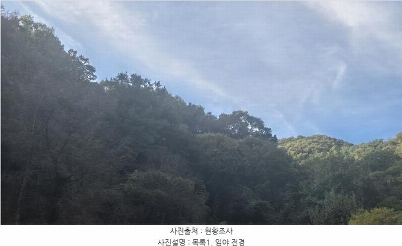 2025타경73311 경기도 포천시 영중면 금주리 산125 임야 경매 이미지